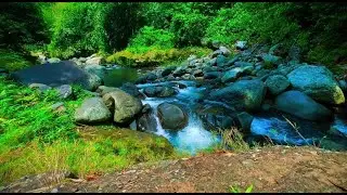 Relaxing River Sound in the forest, Splash of water between the rocks makes it calm for sleeping