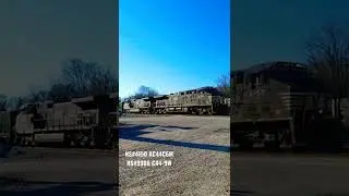 Norfolk Southern intermodal train EB into Sevier yard. #shorts