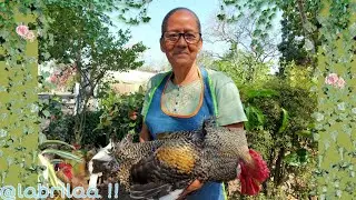 MOLE DE GALLO 🐓 DE RANCHO A LA LE&Ntilde;A || Especial 500 suscriptores 🥳🥳