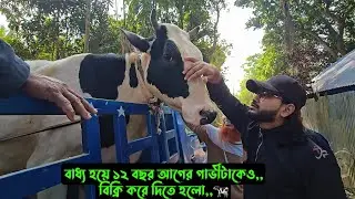 বাধ্য হয়ে ১২ বছর আগের গাভীটাকেও,, বিক্রি করে দিতে হলো,,🐄