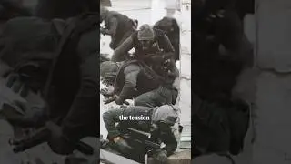 The Punishers of Pebble Island: SAS Raid That Changed the Falklands War Description
