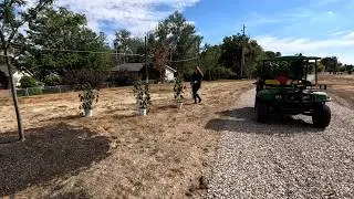 Unloading a Bunch of New Perennials & Planting Hibiscus! 🌺 🌿🌾 // Garden Answer