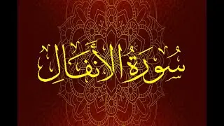 Okasha Kameny سورة الانفال  برواية السوسي عن أبي عمرو البصري .. الشيخ عكاشة كميني