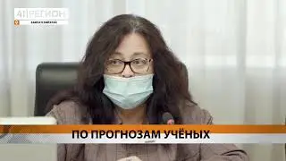 Новости Камчатки за 11 ноября 2020