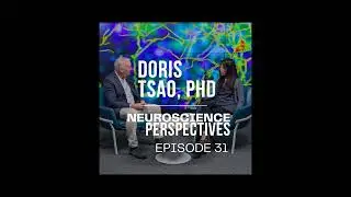 The Brain vs AI: Dr. Doris Tsao & Why the Brain is More Efficient than AI