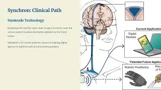 Brain Computer Interface Policy, Competition, and Human AI Synergies