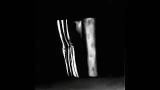 B4 - The loves of my entire life(hyper slowed + reverb) The Caretaker