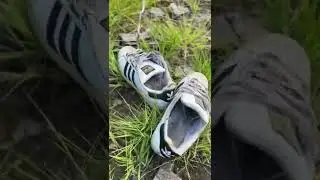 Girl put her Five years old stinky Adidas Superstar off