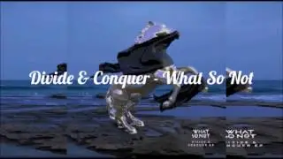 What So Not - Divide & Conquer EP [RECAP]