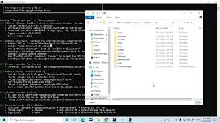 Flutter Android ToolChain