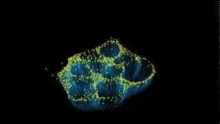 state of matter transformation _ behaviour experiment