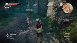Brutalisation