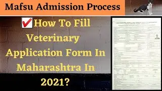 How To Fill Maharashtra (Mafsu) Veterinary Application Form (FULL GUIDE)