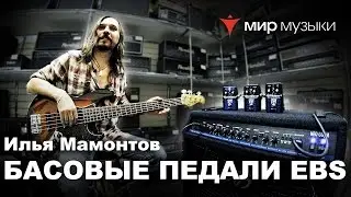 Илья Мамонтов тестирует педали EBS на басу и гитаре FGN