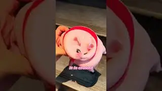 Elastic Squishy Pig Anti-Stress Toy 🐷💖 This squishy pig is here to save the day!