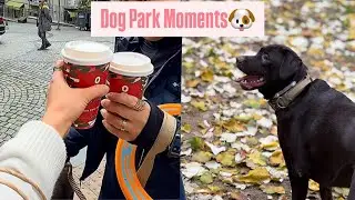 Dog Park Moments | Luna’s First Walk in Maçka