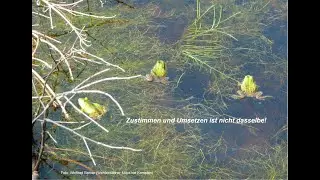 Ermutigende F&uuml;hrung  - Teil 11 Mutiger Umgang mit Konflikten III: Vereinbarungen nachhalten