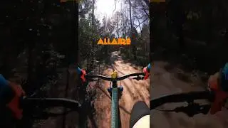 Allaire is always a good idea. #njtrails #mtb #mtbnj #njcreator #gopro #allairestatepark