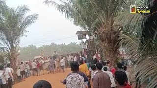 Vadisaleru Village Bulls Race | Traditional Cattle Care | 533294