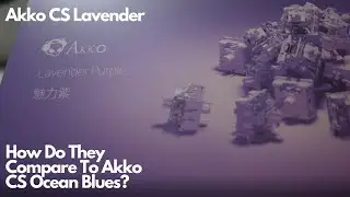 Akko CS Lavender Comparison Review and Sound Test ASMR