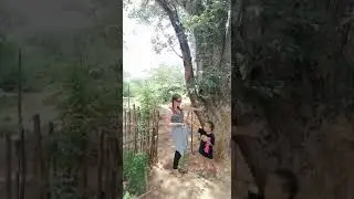 Organic farming: Mongongo trees