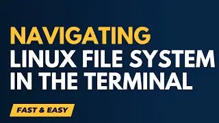Navigating The Linux File System Using the Terminal (Easy)