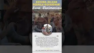 Go-Seva Testimonials |  गोसेवा प्रशंसापत्र