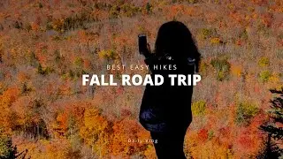 Fall Road Trip 🍂 Vlog | Minnesota | Best Easy Hikes