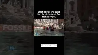 Climate Terrorists pour black ink into Historic Trevi Fountain in Rome #politics #shorts #fyp