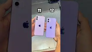 iPhone 11 Vs iPhone 12 || Camera Zoom Test! #shorts