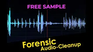 Forensic Audio cleaning | Forensic Audio service online| Forensic Audio fix | Forensic Audio repair