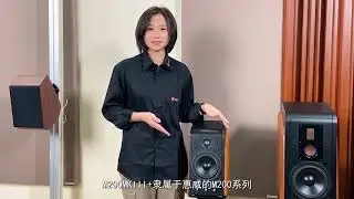 HIVI SWAN M5A 惠威科技 惠威音响