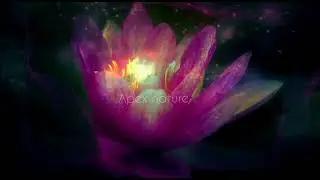 Calmative Relaxing music with Beautiful nature visual.
