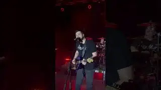 Steve G - Біла вуаль  #concert  #live  #БілаВуаль  #love #guitar #степангіга  #steveg  #livemusic