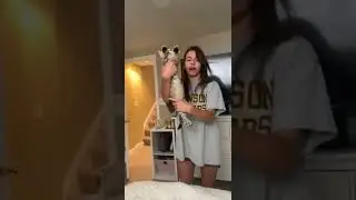 cat has nice long body