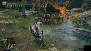 Paladin Showcase