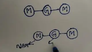 peptidoglycan drawing