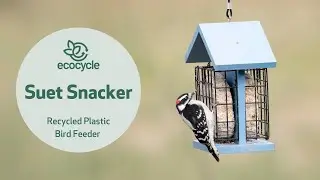 Suet Snacker Recycled Plastic Suet Bird Feeder | EcoCycle&trade; Recycled Materials Collection