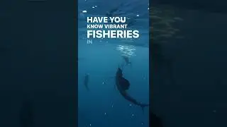 Fisheries Management Conservation #fisheries
