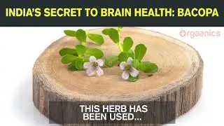 INDIA&rsquo;S SECRET TO BRAIN HEALTH:  BACOPA