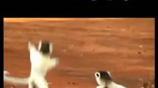 New bala challenge funny video