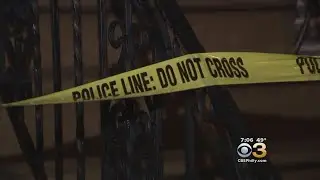 Autopsy Scheduled For Body Found Wrapped In Blood-Soaked Carpet In Wissinoming Home: Authorities