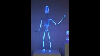 Wayne Strattman - PlasmaBot