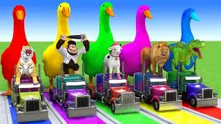 Long Slide Game With Elephant Gorilla Buffalo Hippopotamus Tiger - 3d Animal Game - Funny 3d Animals