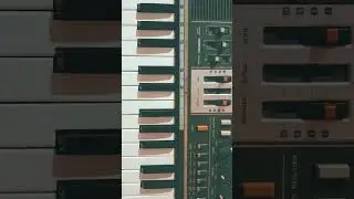 Jamming with a vintage Casio MT-68 🎹🌴🎶 #CasioMT68 #DrumMachine  #SynthWave