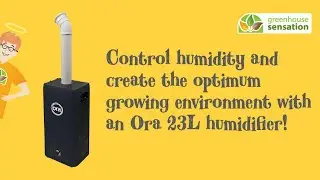 23 Litre Ora Humidifier