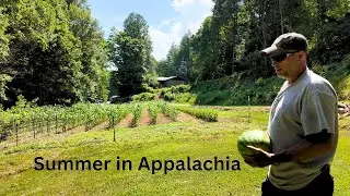July and August in Appalachia: Garden Bounty, Putting Up, & Fiddling