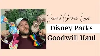 Disney Parks Goodwill Haul Unclaimed Lost and Found Merchandise from Disneyland