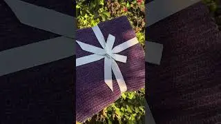 Bebejan Chenille Throw Review: The Perfect Cozy Blanket for Fall!
