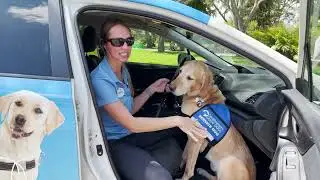 Car Safety with Subaru | Dogs Inc